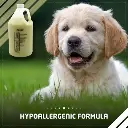 shopping (2) - Ryan Panicker.webp