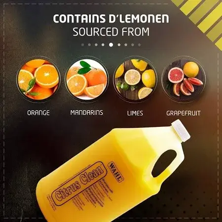 shopping (2) - Ryan Panicker (1).webp