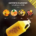 shopping (2) - Ryan Panicker (1).webp