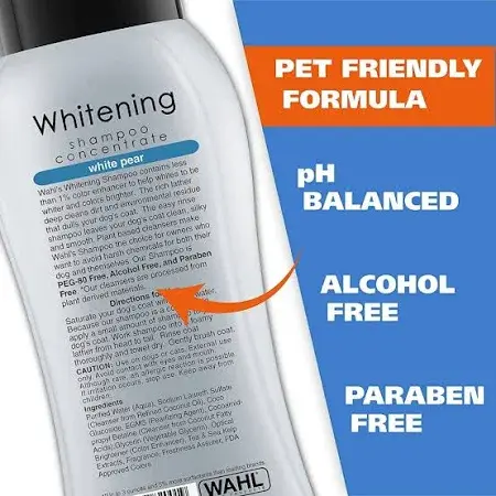 shopping (7) - Ryan Panicker.webp