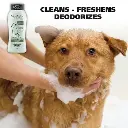 shopping (1) - Ryan Panicker (2).webp